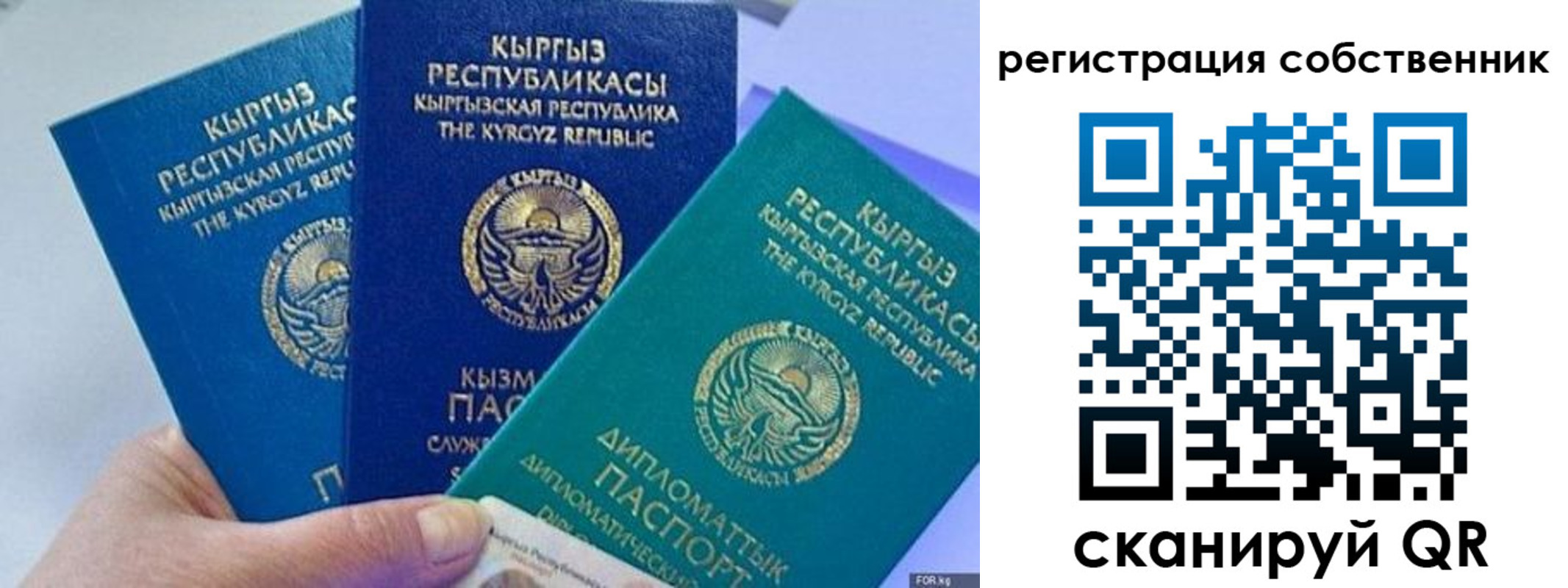 регистрация в Красном Куте